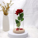 Rosa Encantada Iluminada com Cúpula