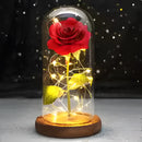 Rosa Encantada Iluminada com Cúpula